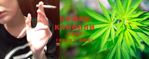 стафф Приозерск