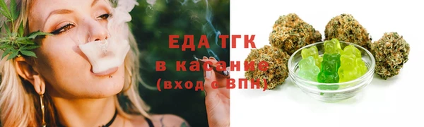 тгк Абаза