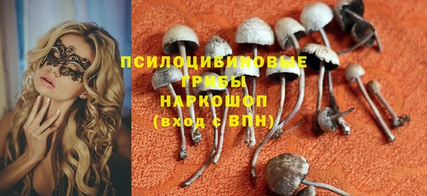стафф Приозерск