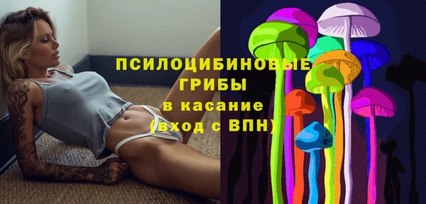 стафф Приозерск